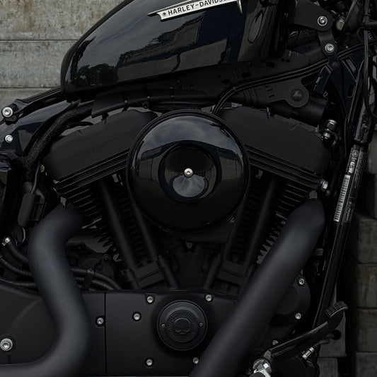 Sportster Rocker Box Cover (Plug&Play)